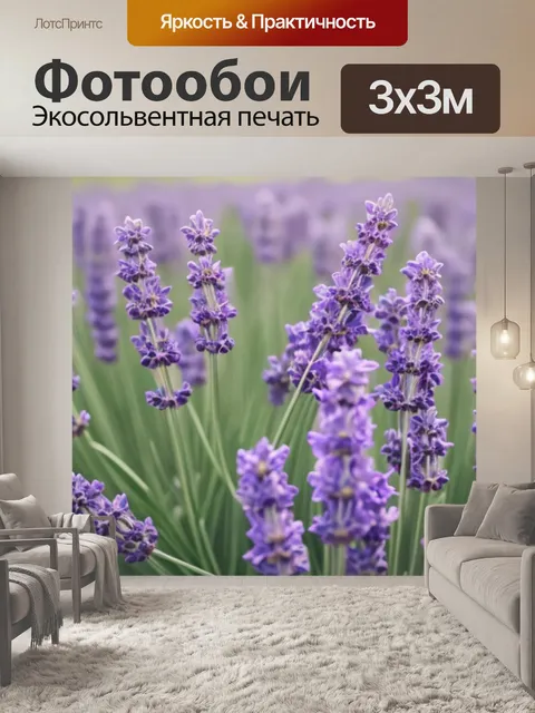 Фотообои с лавандой