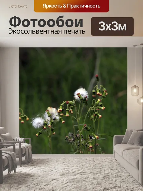 Фотообои Цветок самолета