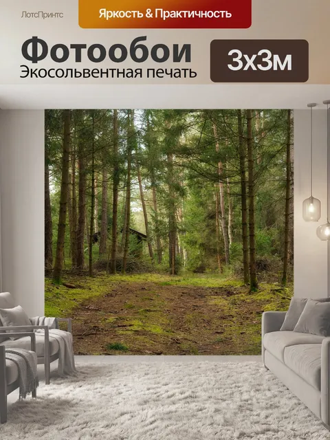 Фотообои Лес