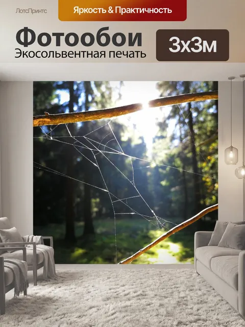 Фотообои Лес