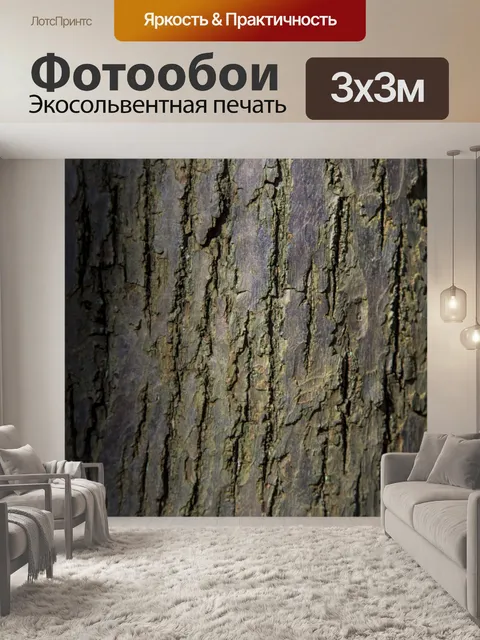 Фотообои Кора плоского дерева