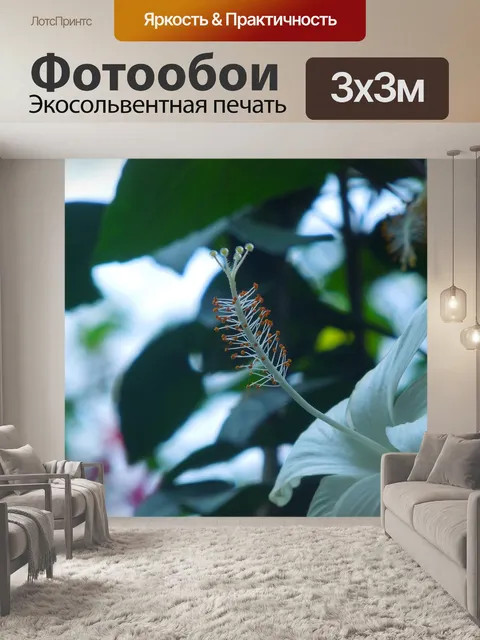 Фотообои Белый