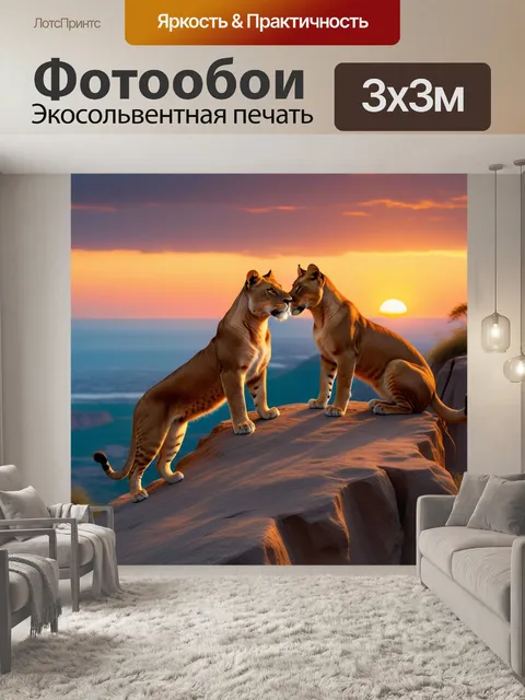 Фотообои симба и нала на вершине скалы при закате