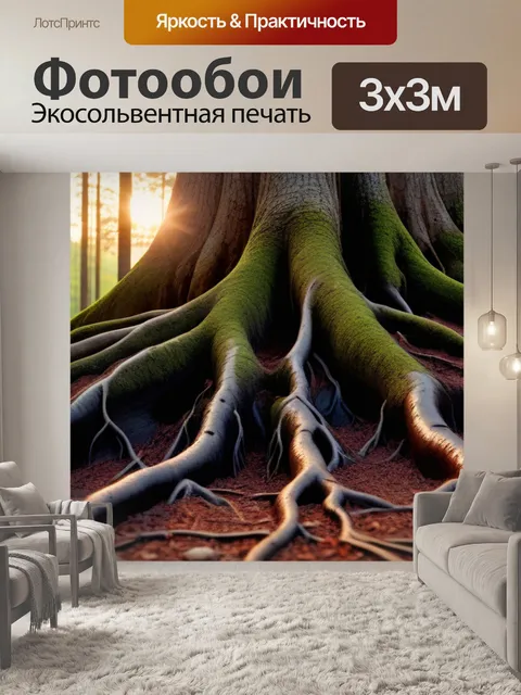 Фотообои глубокие корни деревьев в лесу на закате