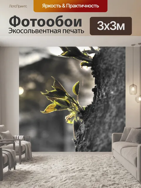 Фотообои Дерево