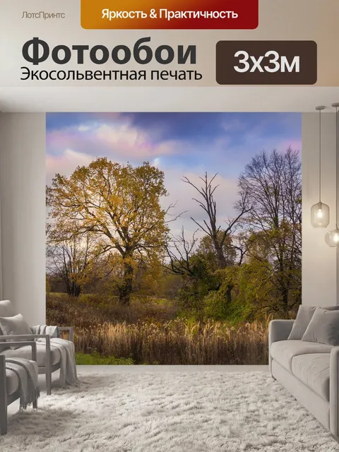 Фотообои Закат
