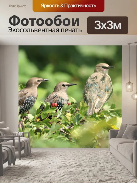 Фотообои Птица