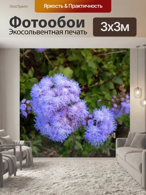 Фотообои Цветы