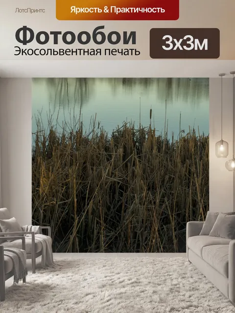 Фотообои Фон