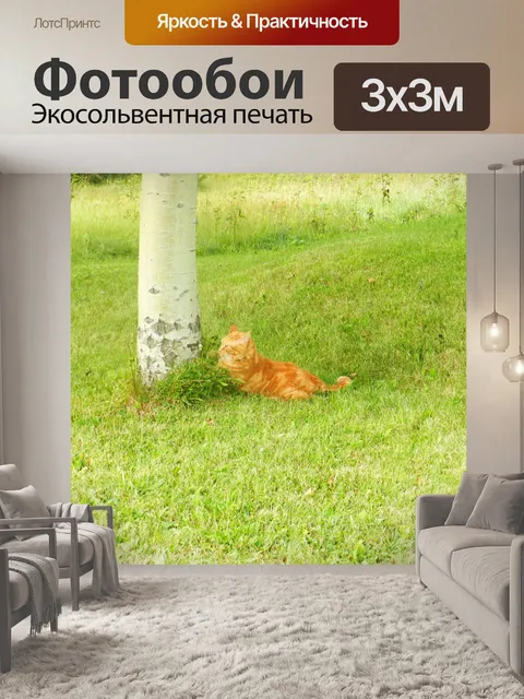 Фотообои Зигги 4 сентября