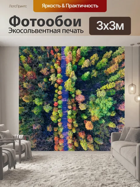 Фотообои Дорога