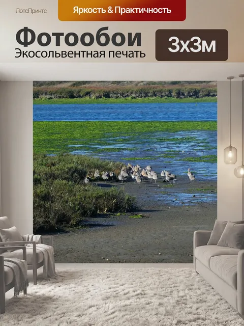 Фотообои Птицы на болотах
