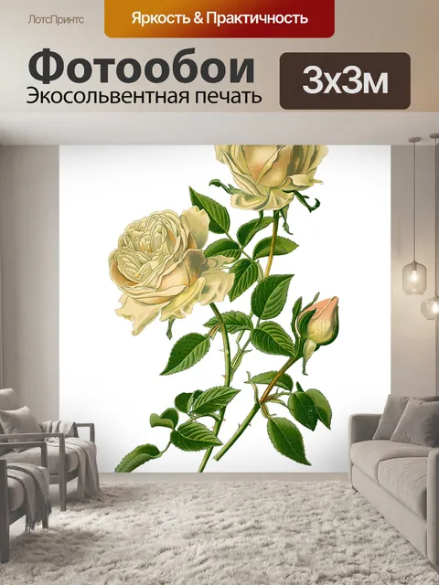 Фотообои Винтаж