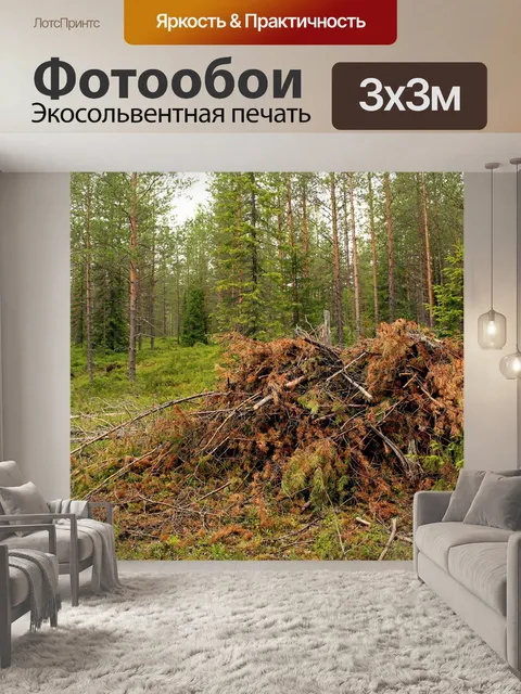 Фотообои Лес