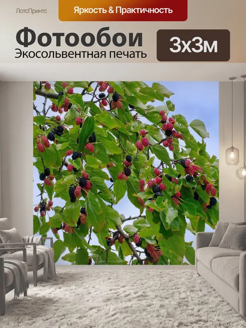 Фотообои Шелковица