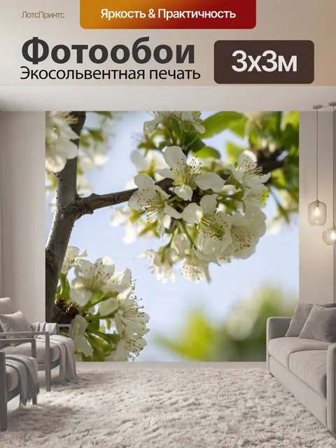 Фотообои Цветы