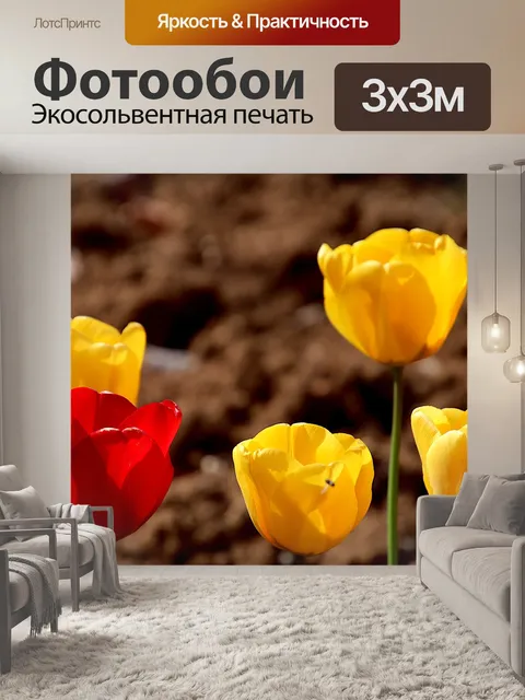 Фотообои Тюльпаны