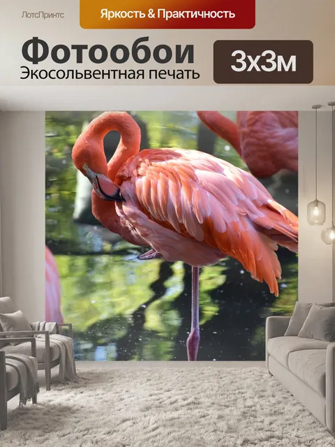 Фотообои Птица
