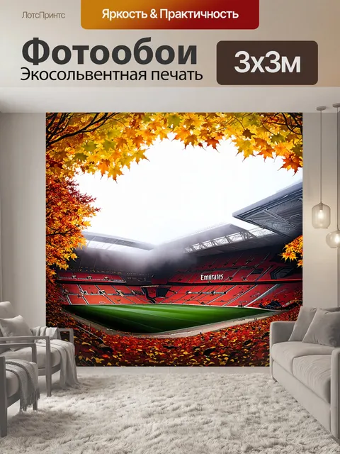 Фотообои осенний вид стадиона эмирейтс