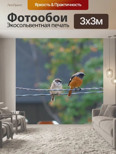 Фотообои Две птицы