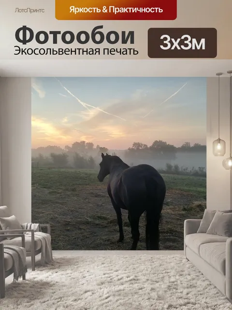 Фотообои Лошадь