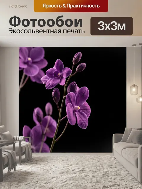 Фотообои Изящные магентово-фиолетовые цветы на тонких почти невидимых стеблях