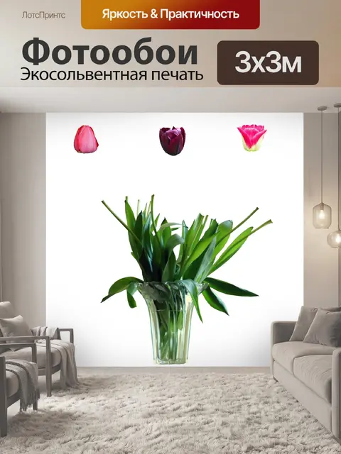 Фотообои тюльпан, изолированных