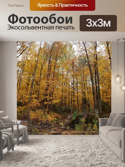 Фотообои Осенние деревья