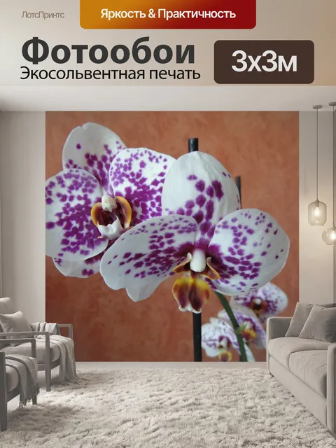 Фотообои Орхидеи