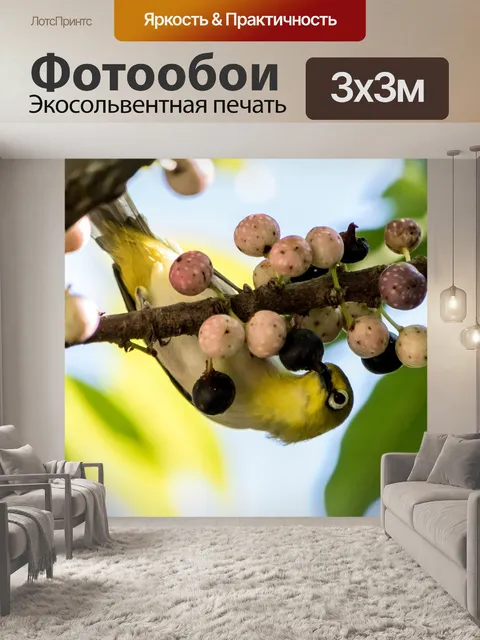 Фотообои Дерево