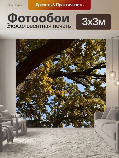 Фотообои Старый дуб