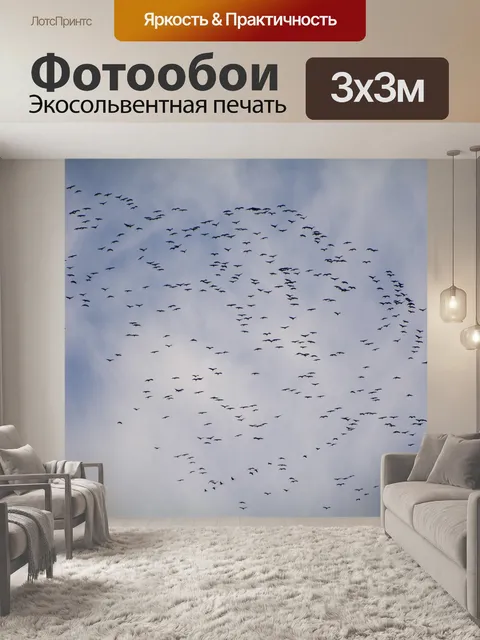 Фотообои Перелетные птицы