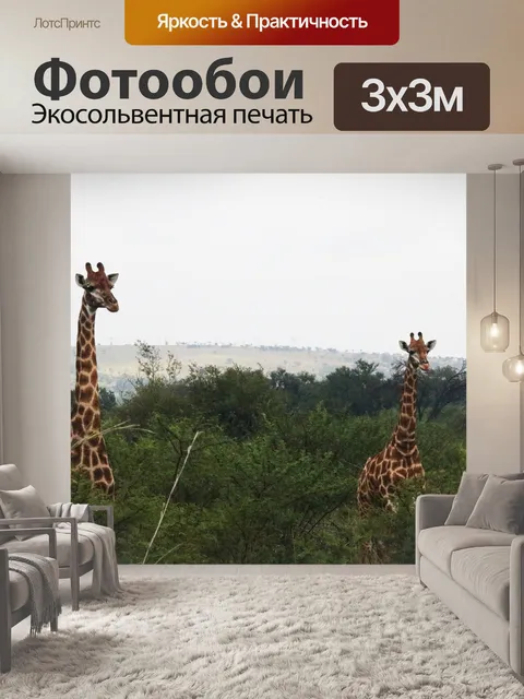 Фотообои два жирафа между зелеными деревьями