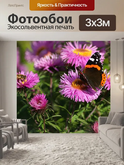 Фотообои Бабочка