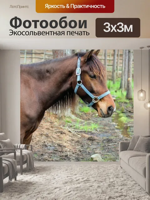 Фотообои Верховая Карие 1