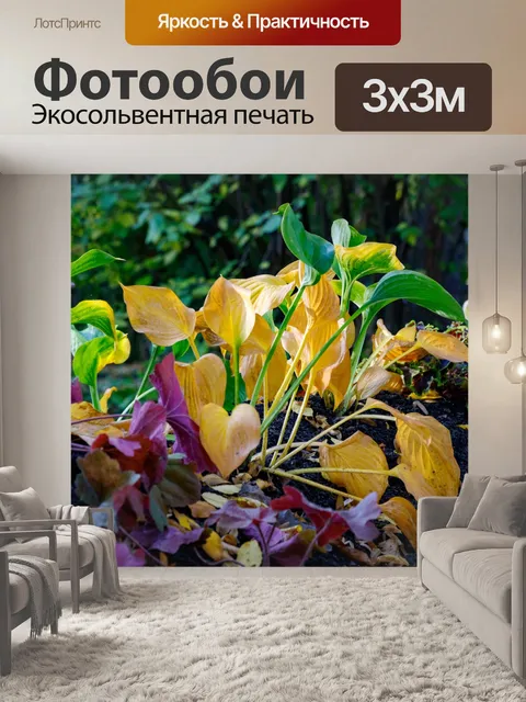 Фотообои Ботанический сад в Быдгоще
