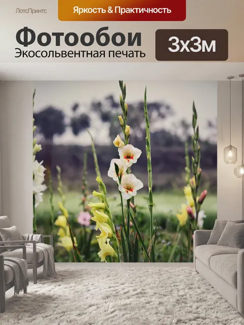 Фотообои Вечер
