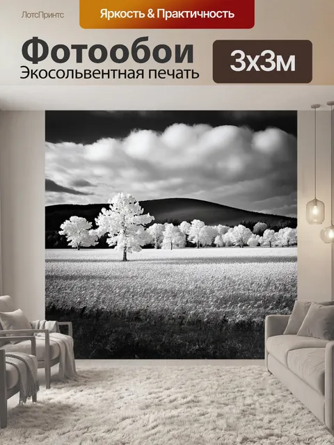 Фотообои обширное поле, усыпанное белыми деревьями, которые создают естественные холмы