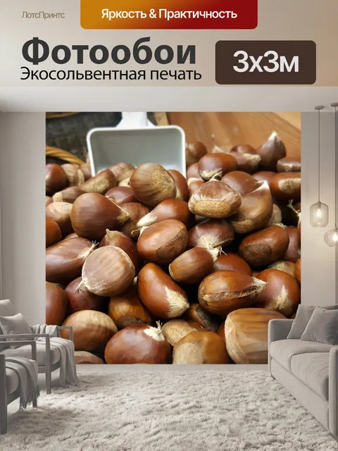 Фотообои Лесной орех