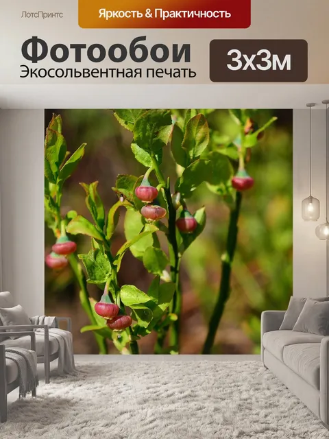 Фотообои Лесные фрукты