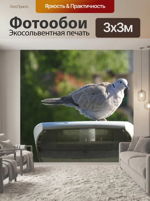 Фотообои Птица