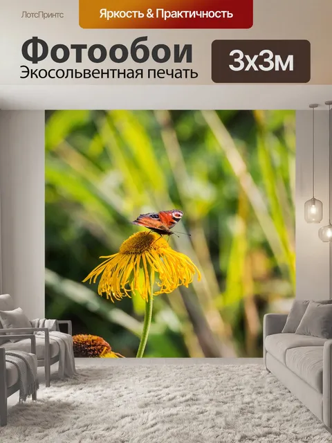 Фотообои Бабочка