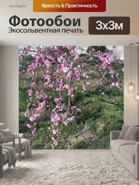 Фотообои Цветок