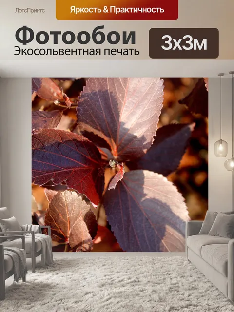 Фотообои Дикая лоза листья