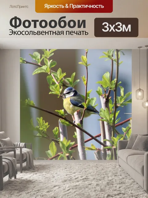 Фотообои Птица