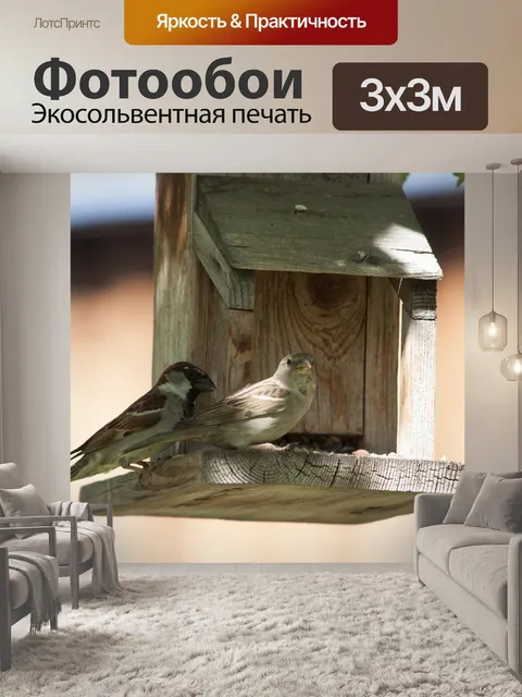 Фотообои Птицы
