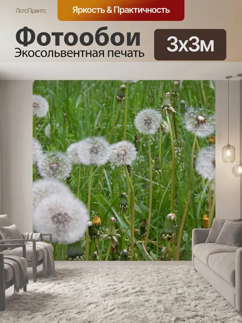 Фотообои Одуванчик