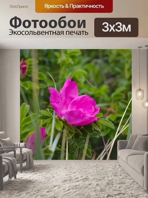 Фотообои Цветок