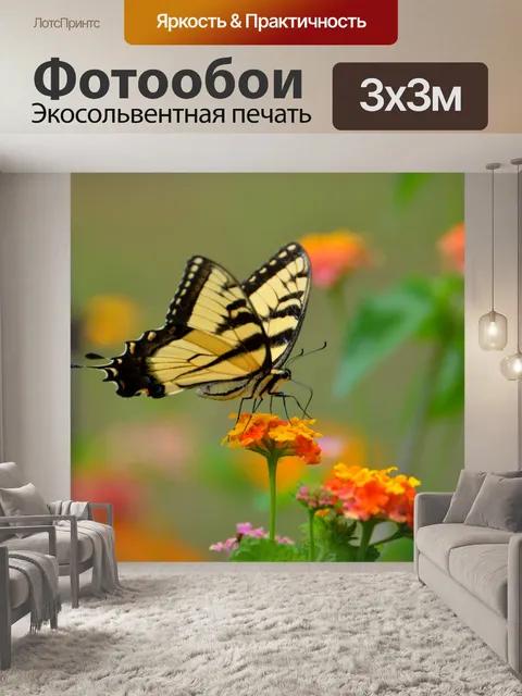 Фотообои Тигр Махаон Бабочка
