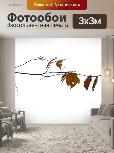 Фотообои Осень
